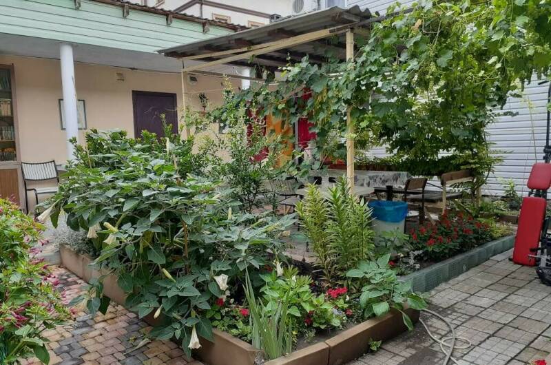 Изображение Изображение гостиницы &quot;Гостевой дом «Стебель бамбука»&quot; #10 #8