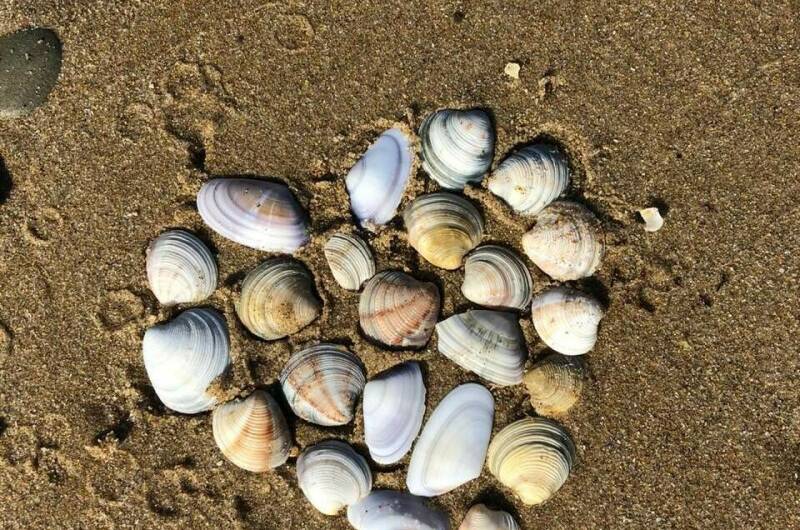 Изображение Изображение гостиницы &quot;Гостевой дом «У Наталии»&quot; #4 #2