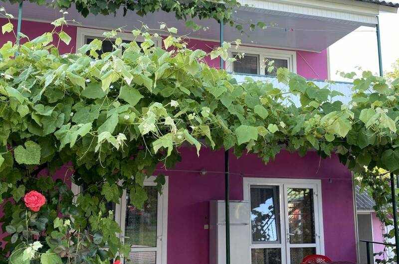 Изображение Изображение гостиницы &quot;Гостевой дом «У Наталии»&quot; #6 #4