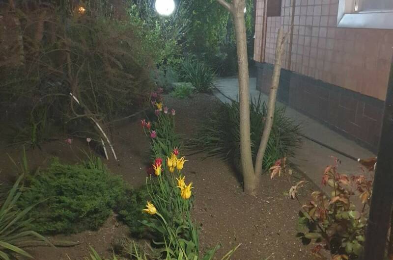 Изображение Изображение гостиницы &quot;Частный дом на Пролетарской&quot; #7 #5