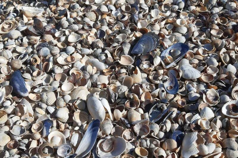 Изображение Изображение гостиницы &quot;Частный сектор «Коса Должанская»&quot; #6 #4