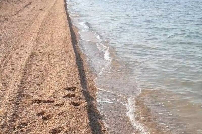 Изображение Изображение гостиницы &quot;Частный сектор «Коса Должанская»&quot; #8 #6