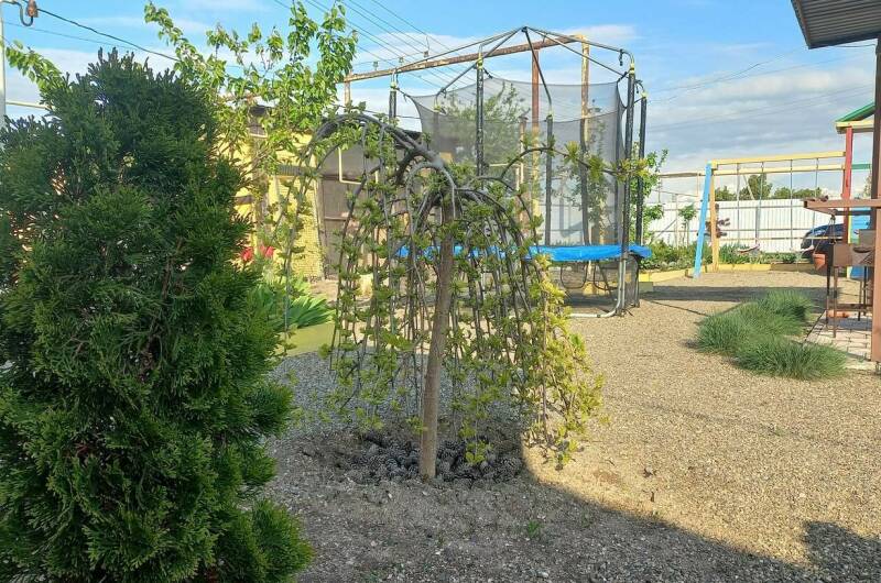 Изображение Изображение гостиницы &quot;Частный сектор «Коса Должанская»&quot; #9 #7