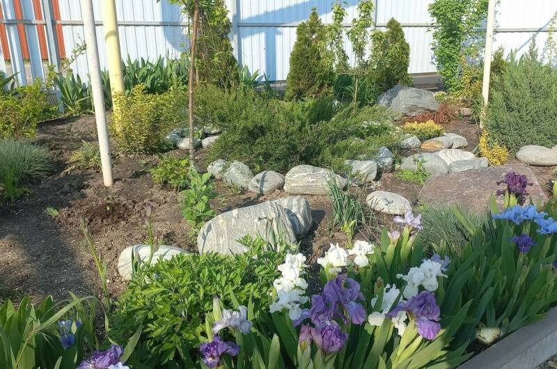 Изображение Изображение гостиницы &quot;Частный сектор «Коса Должанская»&quot; #11 #9