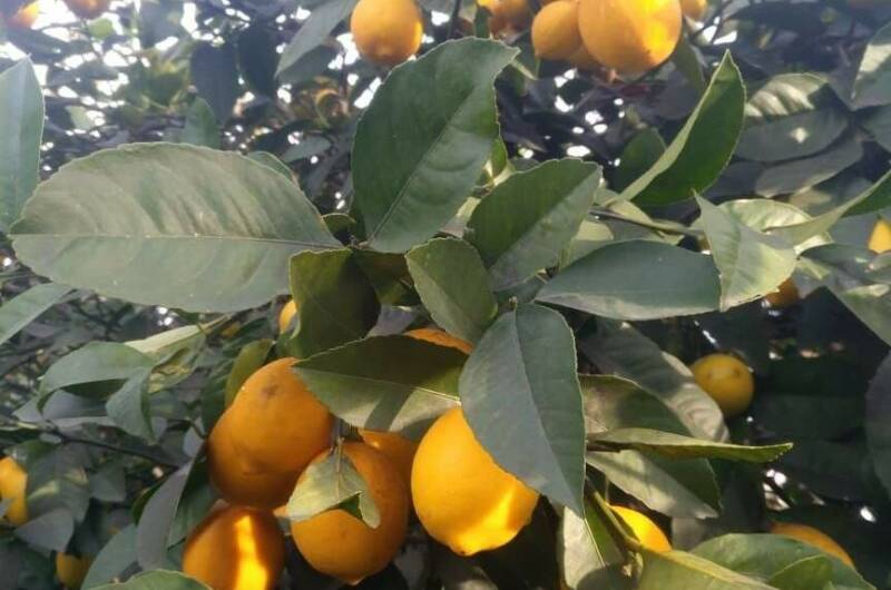 Изображение Изображение гостиницы &quot;Гостевой дом «Летний»&quot; #9 #7