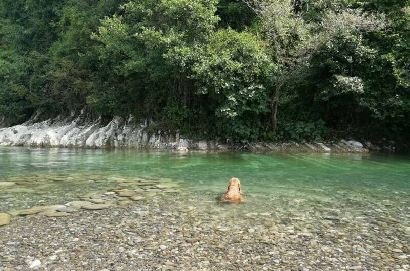 Изображение Изображение гостиницы &quot;Гостевой дом «Летний»&quot; #10 #8