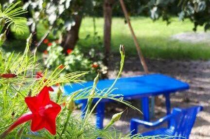 Изображение Изображение гостиницы &quot;Гостевой дом «ТомИло»&quot; #10 #8