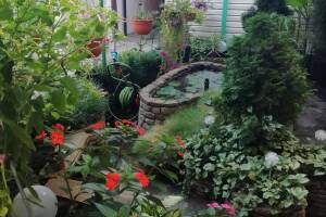 Изображение отеля / гостиницы "Гостевой дом «Отдых»"