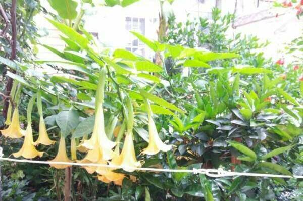 Изображение Изображение гостиницы &quot;Гостевой дом «Приморский дворик»&quot; #5 #3