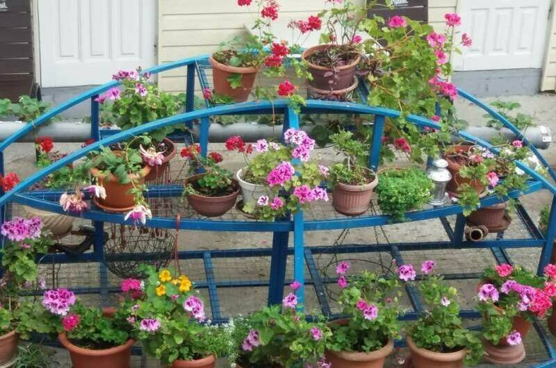 Изображение Изображение гостиницы &quot;Гостевой дом «Приморский дворик»&quot; #11 #9