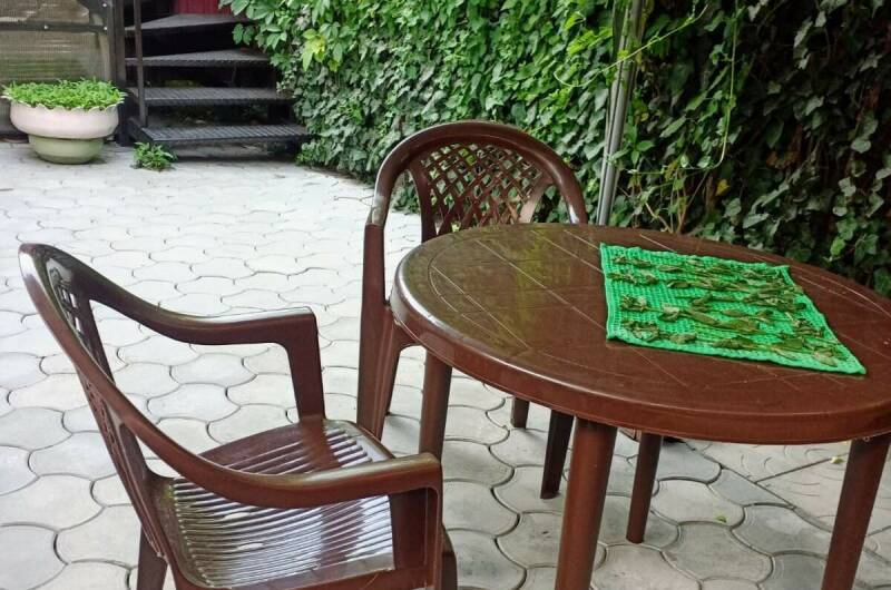 Изображение Изображение гостиницы &quot;Гостевой дом на Свердлова&quot; #11 #9