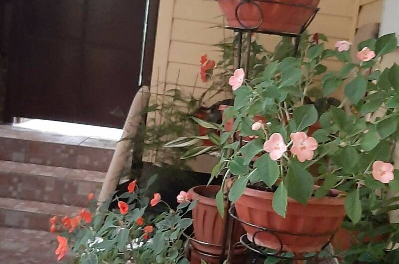 Изображение Изображение гостиницы &quot;Частный дом «Natasha Hause» на Белинского&quot; #5 #3