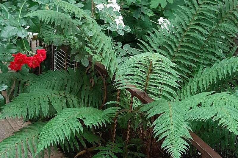 Изображение Изображение гостиницы &quot;Частный дом «Natasha Hause» на Белинского&quot; #10 #8