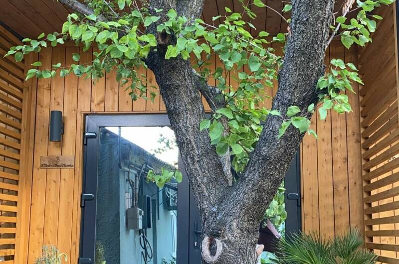 Изображение Изображение гостиницы &quot;Гостевой дом «DolceFarNiente»&quot; #10 #8