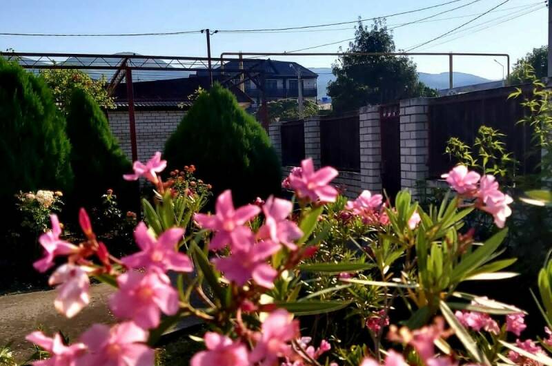 Изображение Изображение гостиницы &quot;Гостевой дом «Людмила»&quot; #4 #2