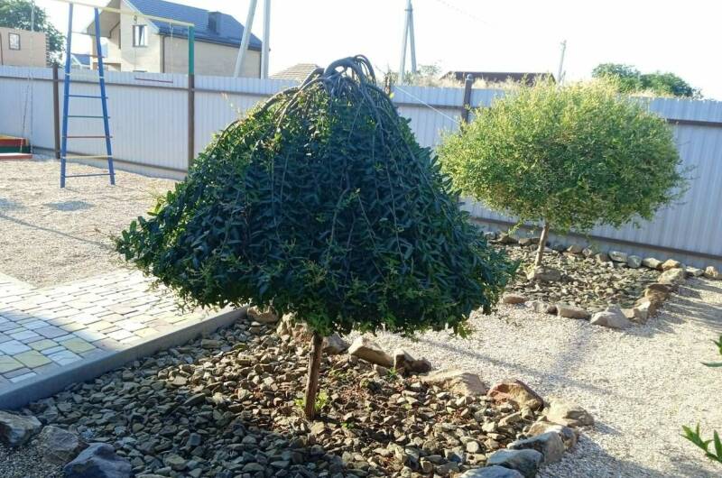 Изображение Изображение гостиницы &quot;Гостевой дом «Высокий берег»&quot; #5 #3