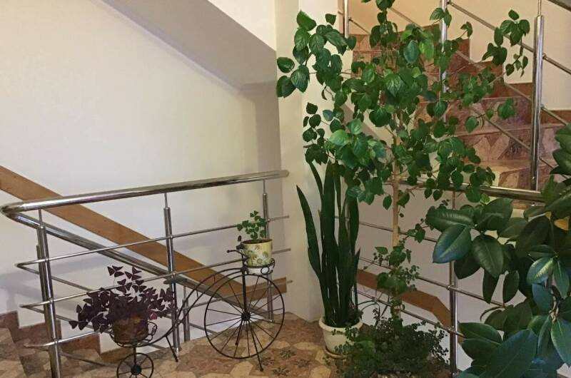 Изображение Изображение гостиницы &quot;Гостевой дом на Изумрудной&quot; #4 #2