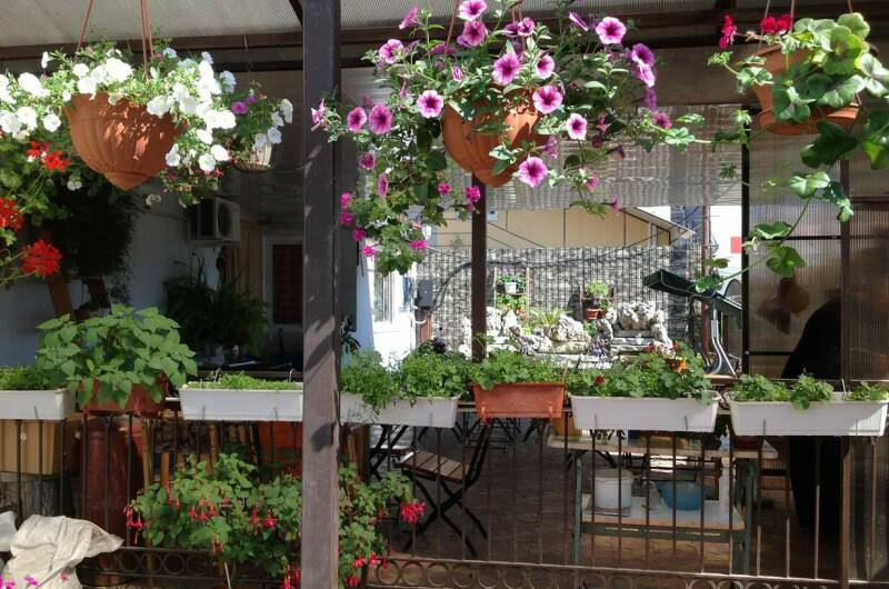 Изображение Изображение гостиницы &quot;Гостевой дом на Изумрудной&quot; #9 #7