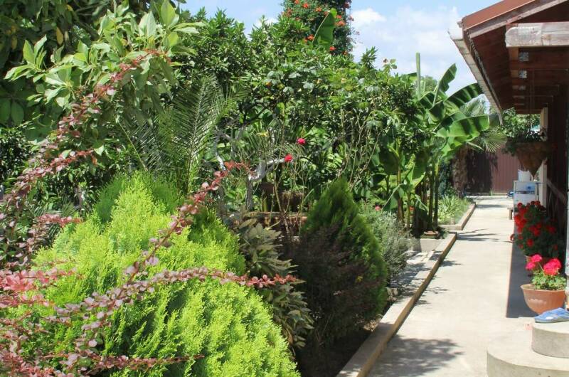 Изображение Изображение гостиницы &quot;Гостевой дом «Атлант»&quot; #11 #9