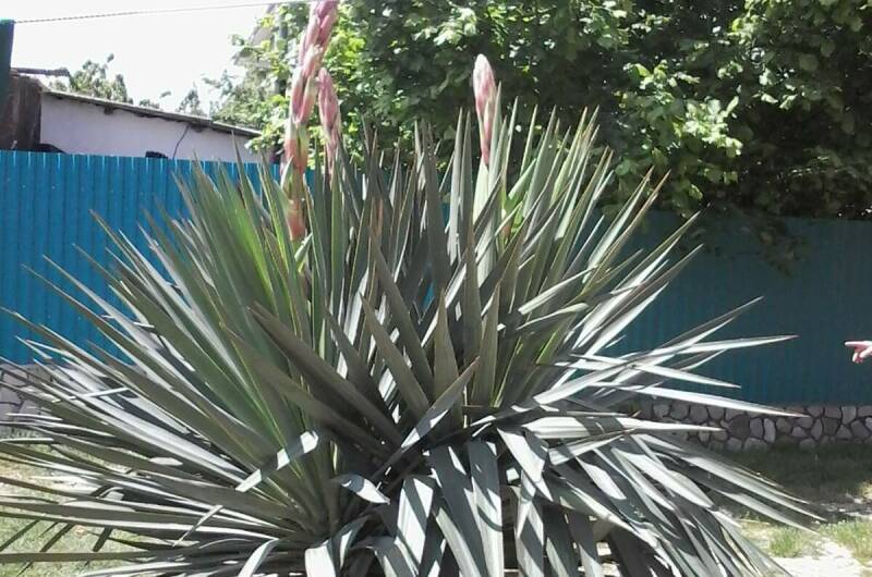 Изображение Изображение квартиры &quot;Студия в частном доме&quot; #10 #8