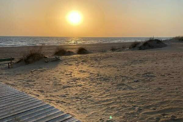 Изображение Изображение гостиницы &quot;Гостевой дом «Domanapa.uposidelkina»&quot; #5 #3