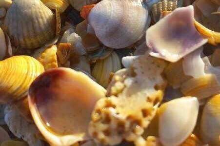 Изображение Изображение гостиницы &quot;Гостевой дом «Domanapa.uposidelkina»&quot; #8 #6