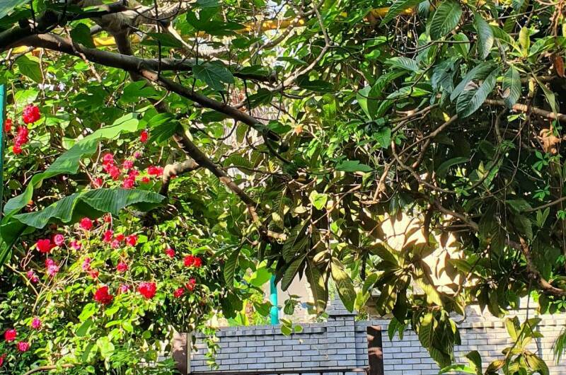 Изображение гостиницы "Частный сектор «Остров сокровищ»" #1