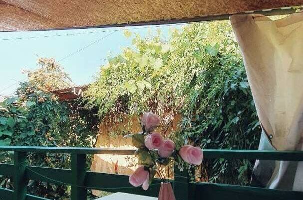 Изображение Изображение гостиницы &quot;Частный сектор «Остров сокровищ»&quot; #9 #7