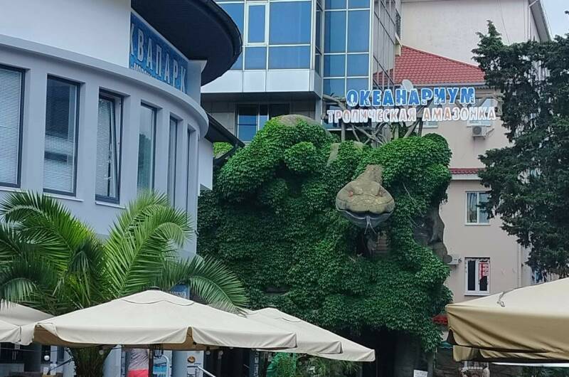 Изображение Изображение квартиры &quot;Апартаменты «Морская звезда»&quot; #7 #5