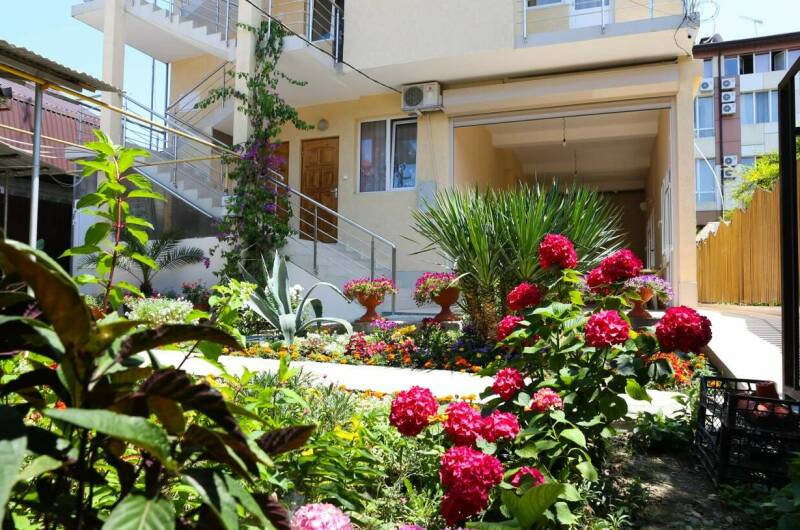 Изображение гостиницы "Гостевой дом «Афалина»" #1