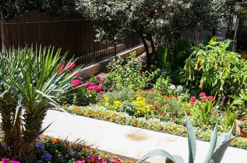 Изображение Изображение гостиницы &quot;Гостевой дом «Афалина»&quot; #6 #4