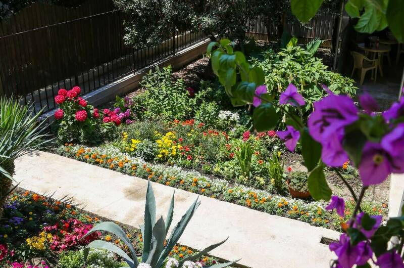 Изображение Изображение гостиницы &quot;Гостевой дом «Афалина»&quot; #7 #5