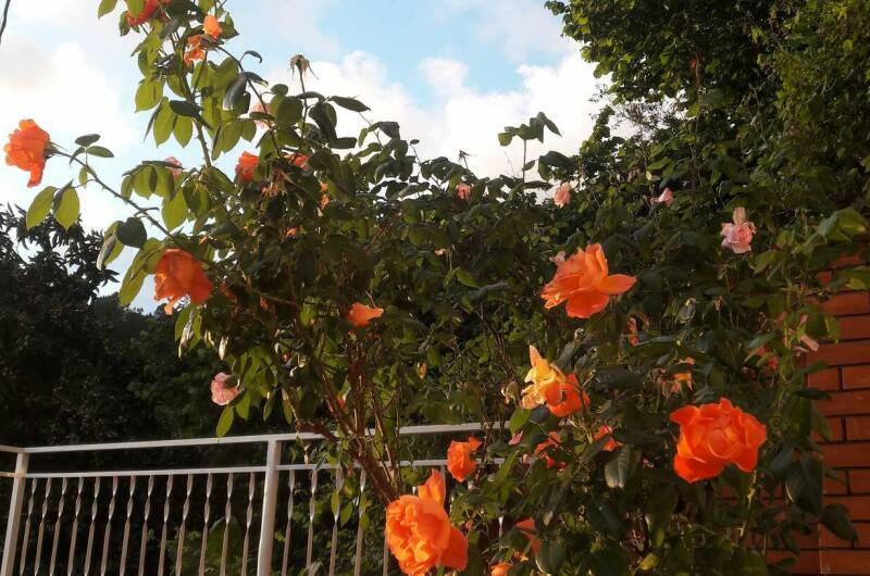 Изображение Изображение гостиницы &quot;Гостевой дом «Винтаж»&quot; #6 #4