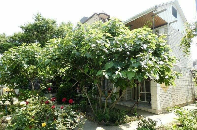 Изображение гостиницы "Гостевой дом на Самбурова" #1