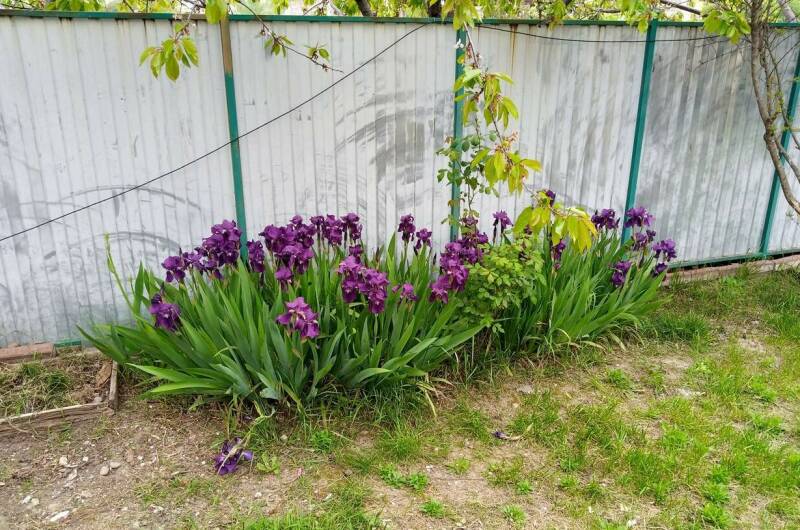 Изображение Изображение гостиницы &quot;Гостевой дом «Капитан Врунгель»&quot; #4 #2