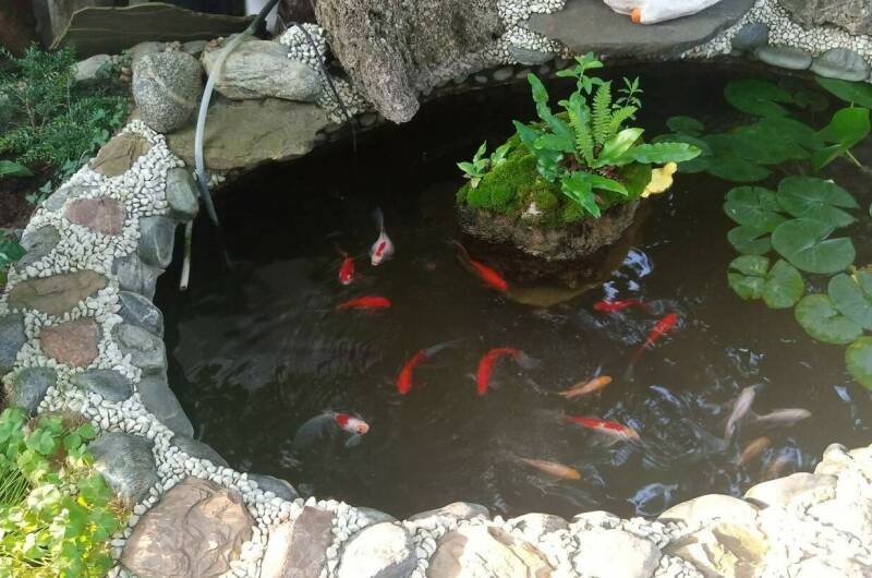 Изображение Изображение гостиницы &quot;Гостевой дом «Капитан Врунгель»&quot; #10 #8