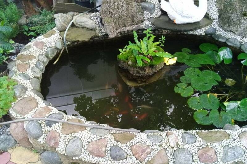 Изображение Изображение гостиницы &quot;Гостевой дом «Капитан Врунгель»&quot; #11 #9