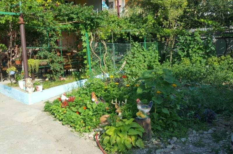 Изображение Изображение гостиницы &quot;Гостевой дом «Жасмин»&quot; #8 #6