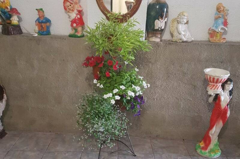 Изображение Изображение гостиницы &quot;Гостевой дом «Эмма»&quot; #4 #2