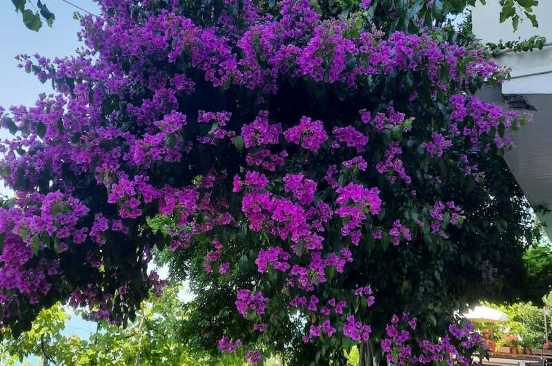 Изображение гостиницы "Частный дом «На Астраханской»" #1