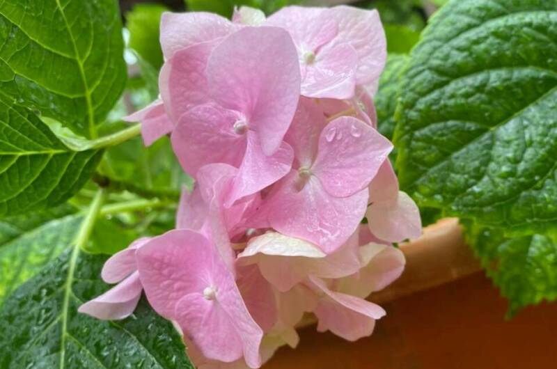 Изображение Изображение гостиницы &quot;Частный дом «На Астраханской»&quot; #3 #1