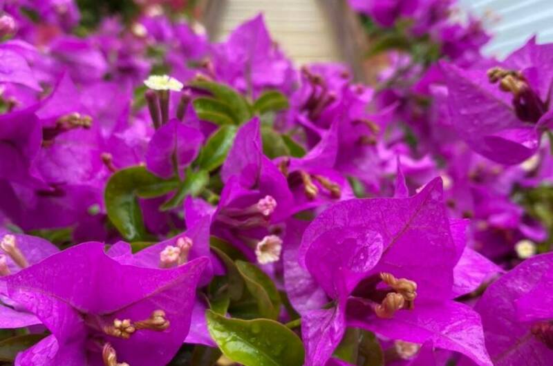 Изображение Изображение гостиницы &quot;Частный дом «На Астраханской»&quot; #5 #3