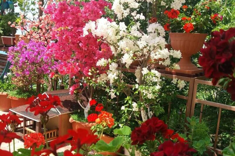 Изображение Изображение гостиницы &quot;Частный дом «На Астраханской»&quot; #6 #4