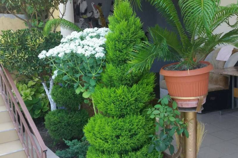 Изображение Изображение гостиницы &quot;Частный дом «На Астраханской»&quot; #7 #5