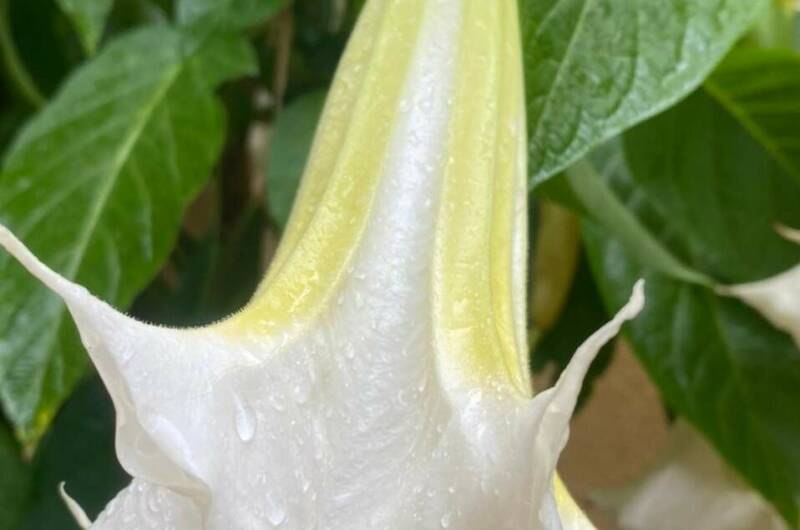 Изображение Изображение гостиницы &quot;Частный дом «На Астраханской»&quot; #8 #6