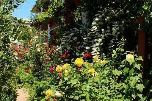 Изображение Изображение гостиницы &quot;Гостевой дом «Янтарь»&quot; #6 #4