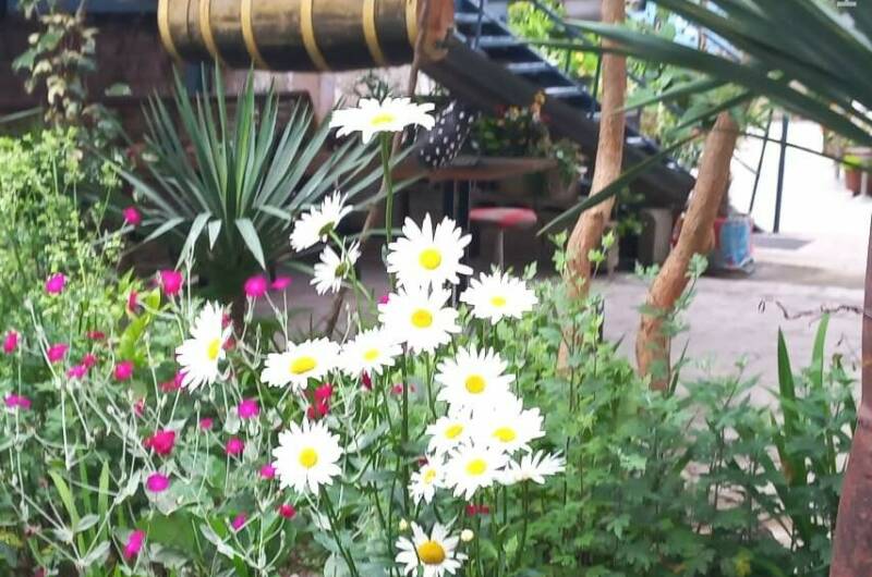 Изображение Изображение гостиницы &quot;Гостевой дом «Старая Гагра»&quot; #4 #2