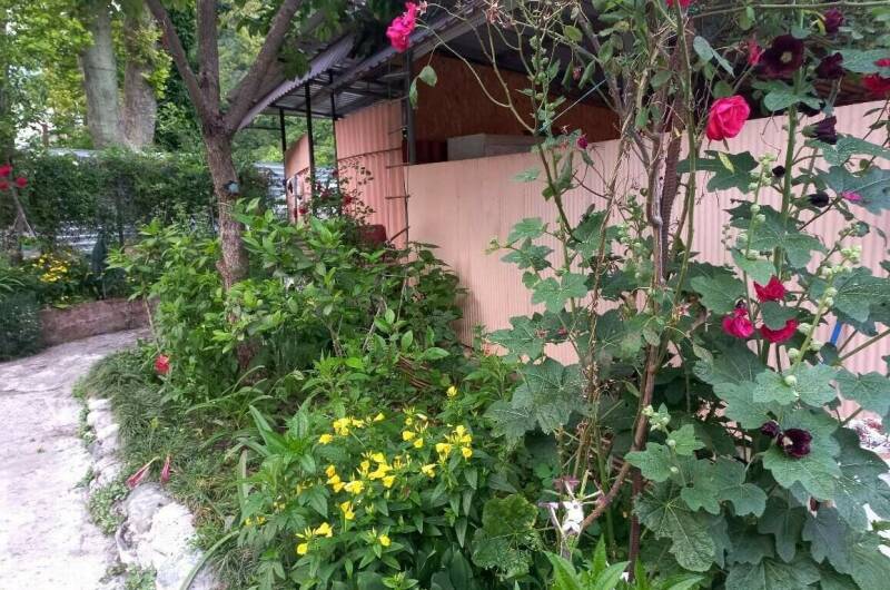 Изображение Изображение гостиницы &quot;Гостевой дом «Старая Гагра»&quot; #7 #5