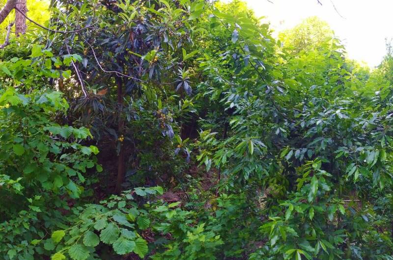 Изображение Изображение квартиры &quot;Однокомнатная квартира рядом с морем&quot; #3 #1