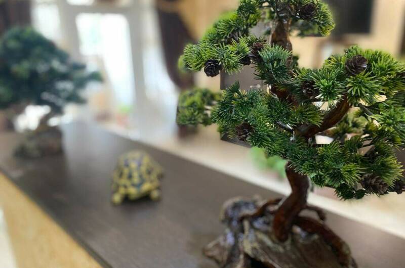 Изображение Изображение гостиницы &quot;Гостевой дом «Лилия»&quot; #3 #1